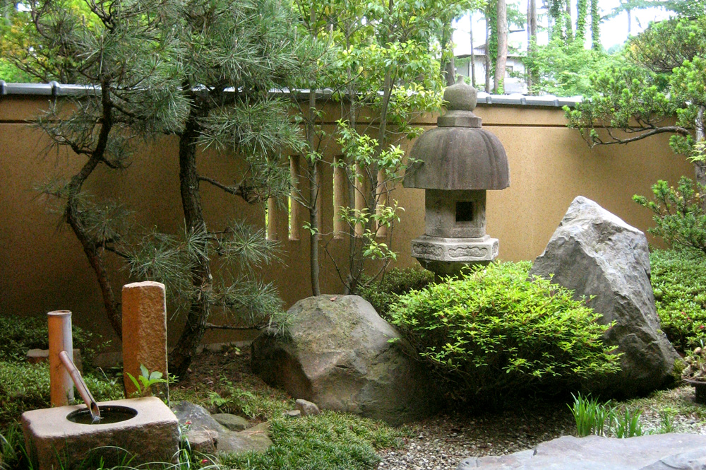 正面から見た庭の画像